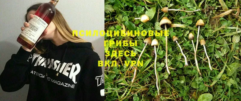 mega онион  Калачинск  Галлюциногенные грибы Magic Shrooms 